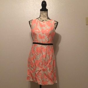 Pretty Pink Loft Dress